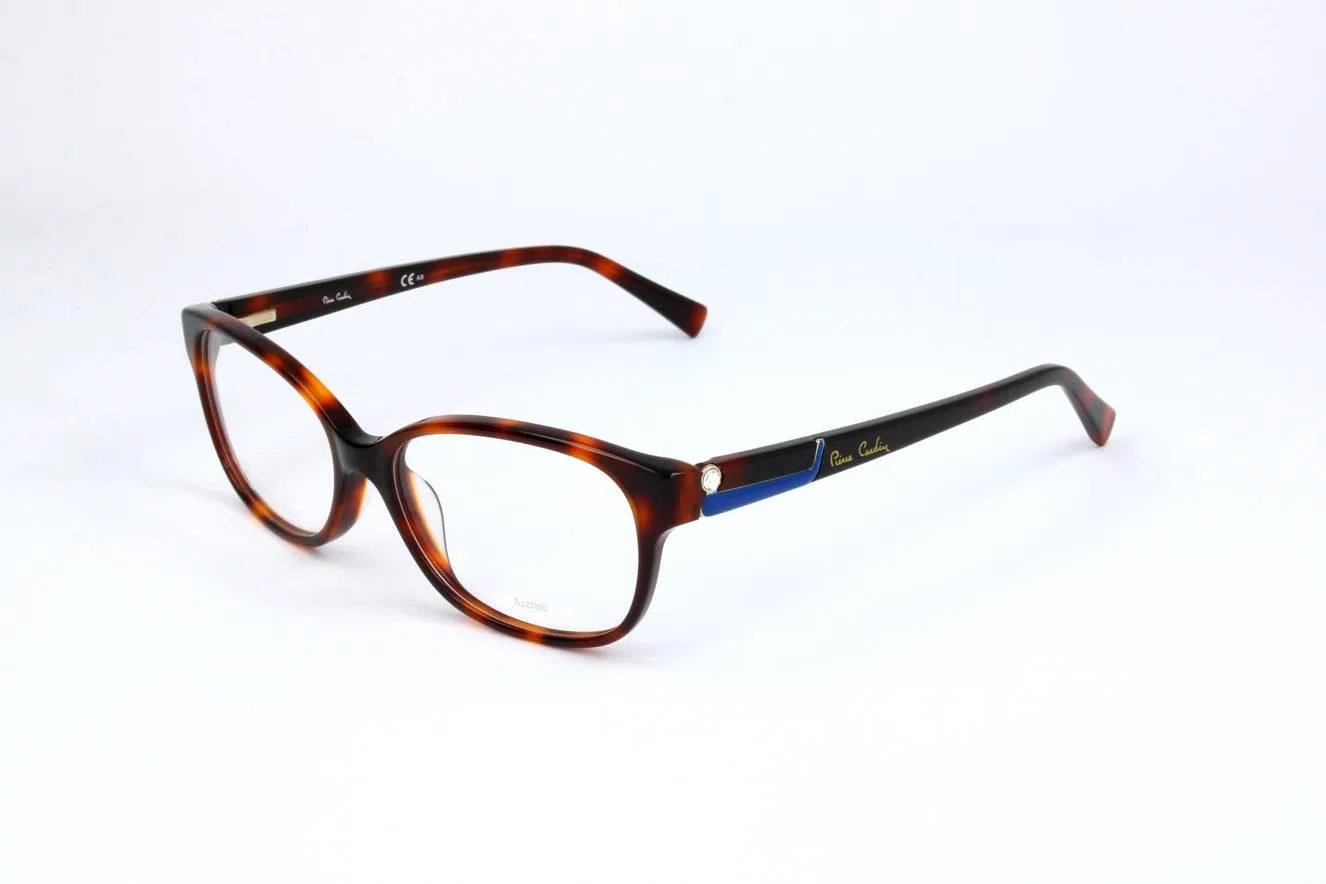 Pierre Cardin PC8434 Eyeglasses - view 7